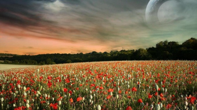 PostgreSQL 与 MySQL 相比，优势何在？